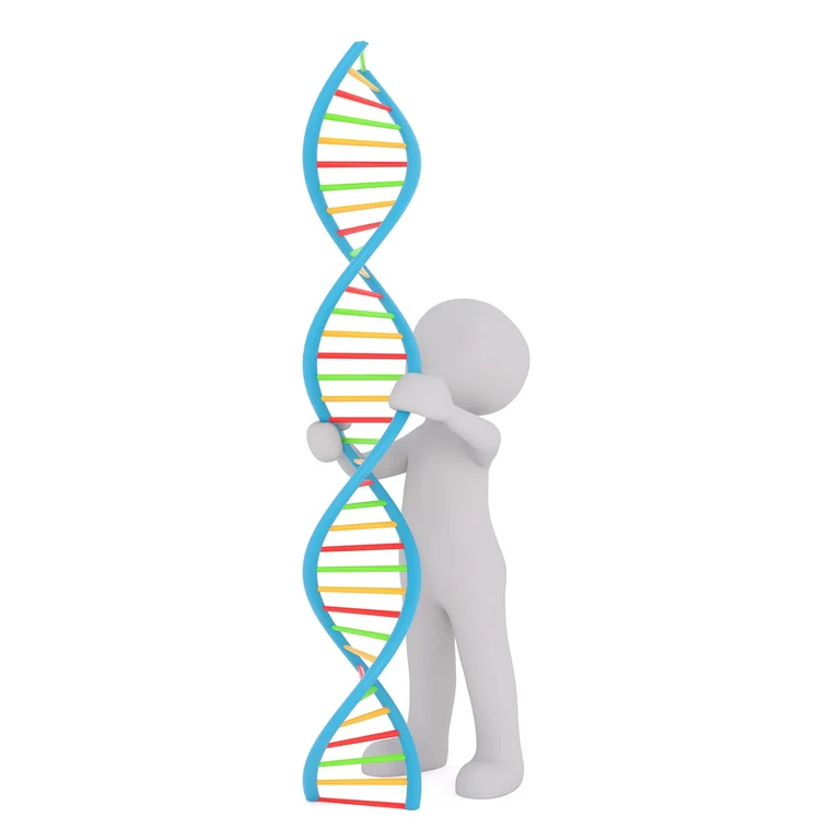 dna-gbcba6b0a1_1920.jpg