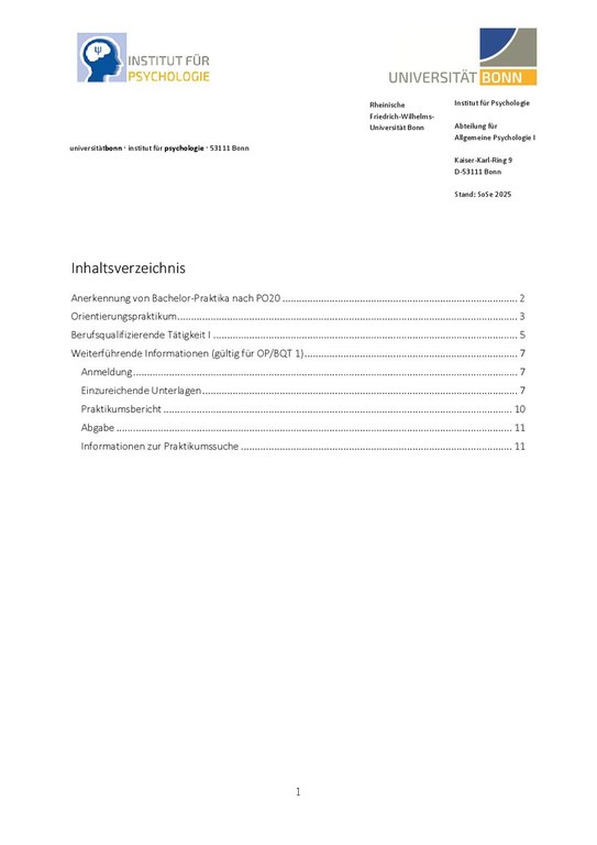 Praktikumsmodul Info_BScPO20_(Entwurf 04.09.2025).pdf